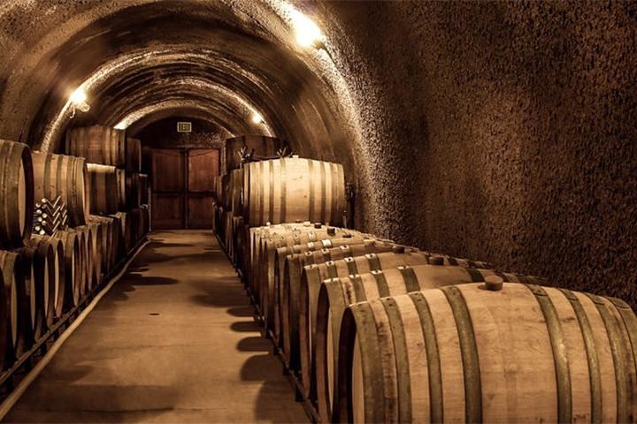 Lebanon Wine Tasting Tour From Beirut (Entrance Fee Included)