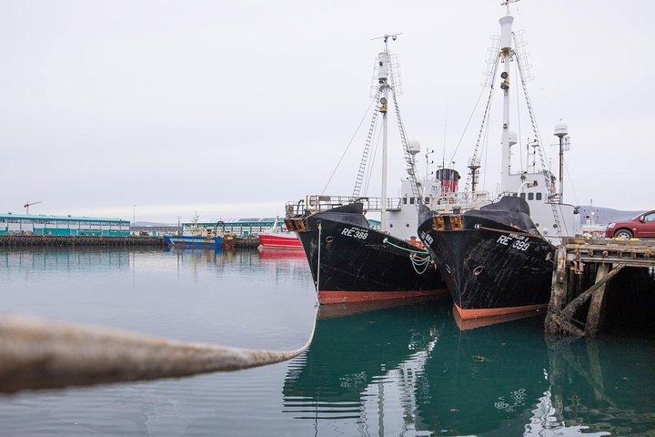 City Sightseeing Reykjavik Hop-On Hop-Off Bus Tour: 24 or 48-Hour