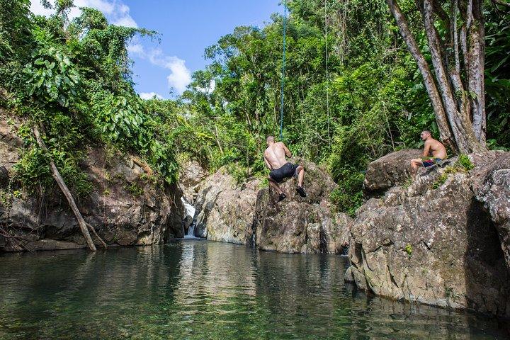 Hike El Yunque Rainforest and Kayak Bio Bay Combo Tour