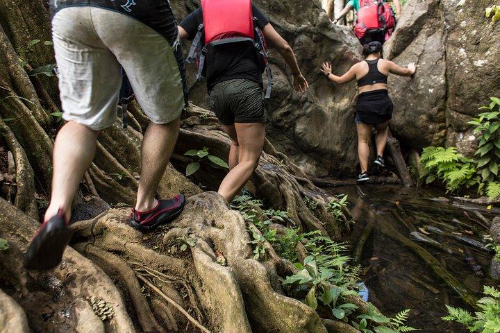 Hike El Yunque Rainforest and Kayak Bio Bay Combo Tour