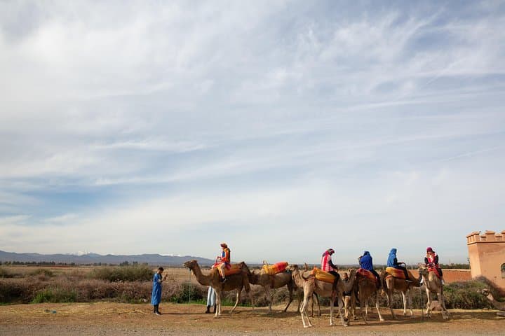 Atlas Mountains and 3 Valleys & Waterfalls - Camel Ride Marrakech