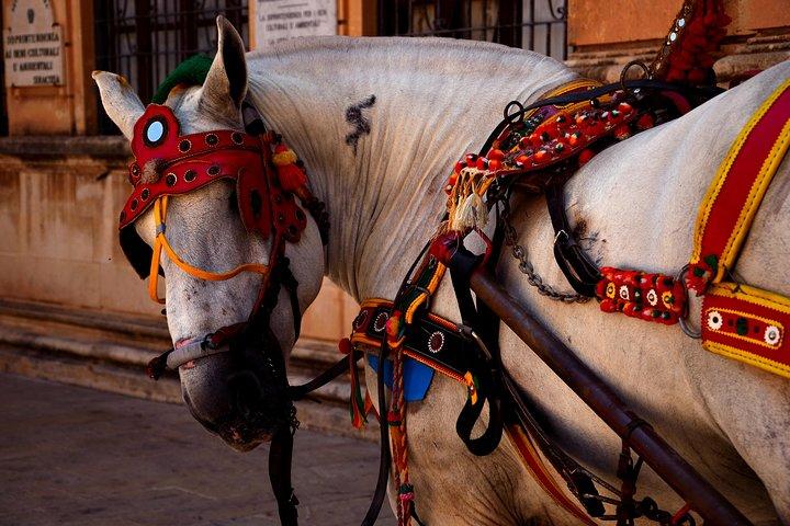 CATANIA TRANSFER to or from TAORMINA, GIARDINI NAXOS or SYRACUSE
