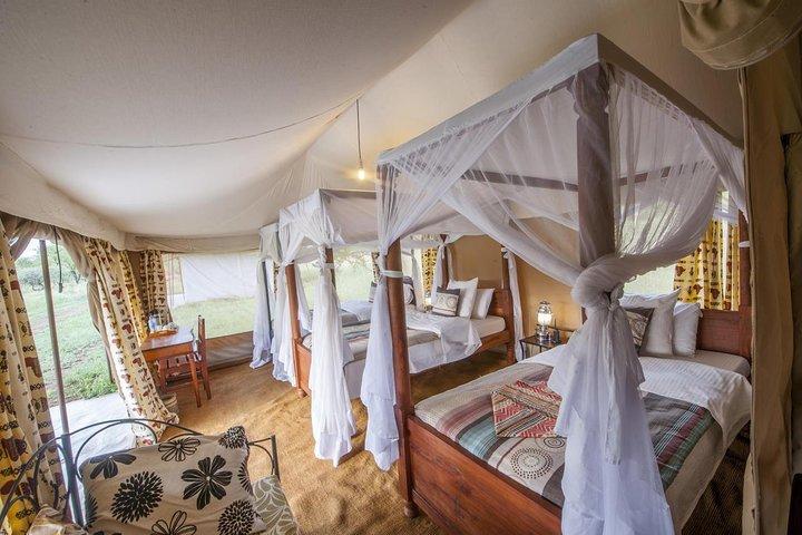 5 Days Tanzania Join Group Safari from Arusha