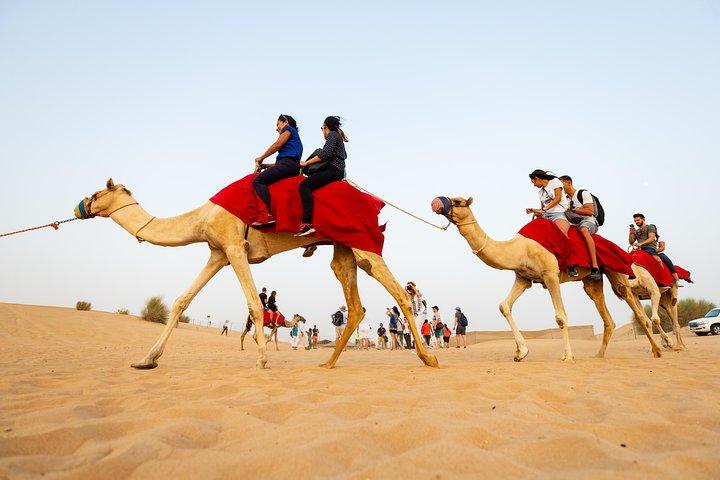 Dubai Combo:City Tour and Premium Desert Safari with all Activities