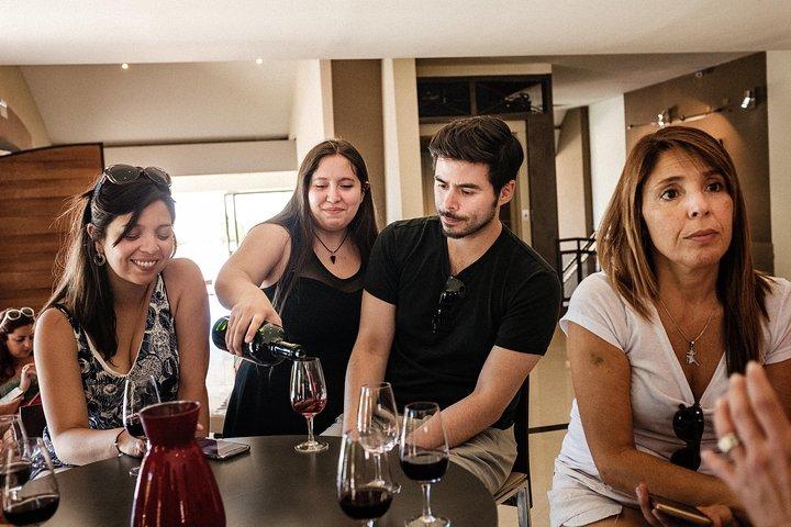 Maipú Wine-Tasting Tour from Mendoza Including Trapiche Winery