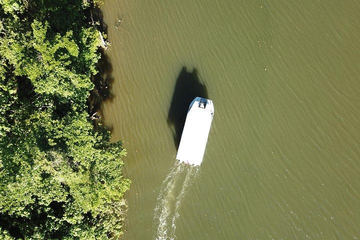1-Hour Daintree River wildlife cruise