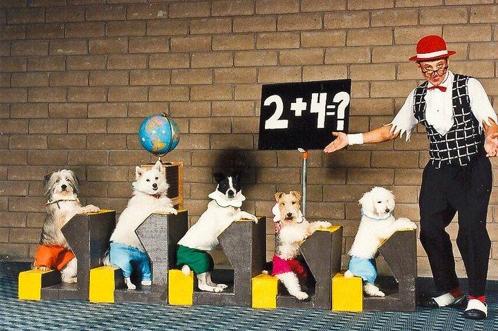 Popovich Comedy Pet Theater at Planet Hollywood Resort and Casino