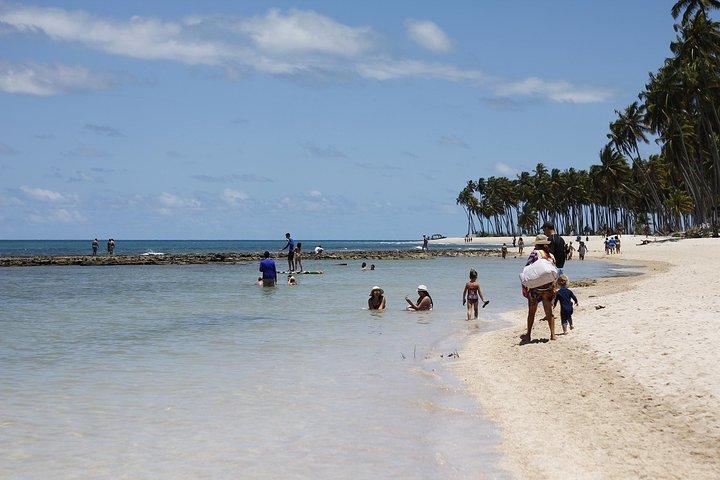 Carneiros Beach Day Tour