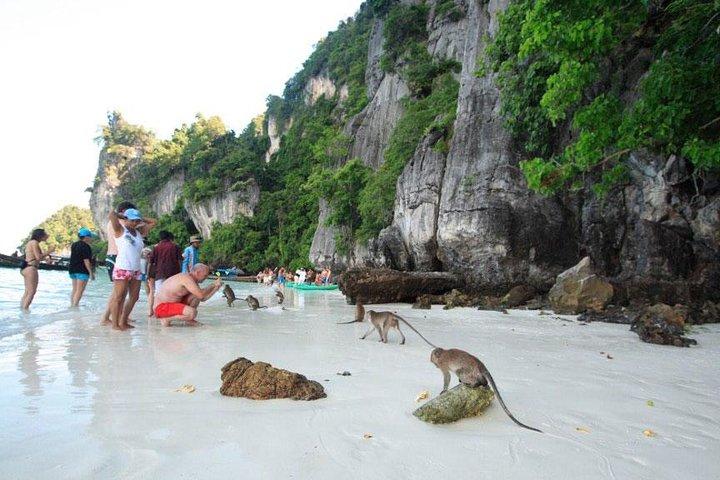 Phi Phi Islands Sunset Tour From Phi Phi by Longtail Boat