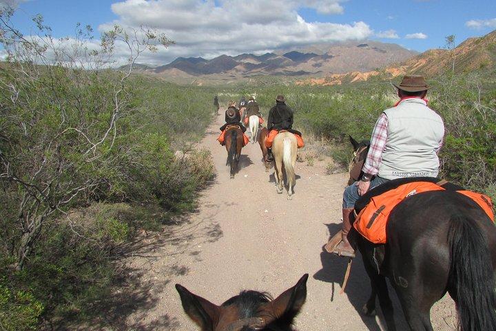 Full day ride at the foot of The Andes