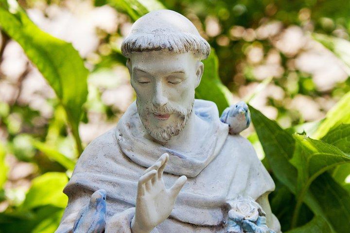 Assisi and Orvieto Guided Day Tour from Rome with Lunch