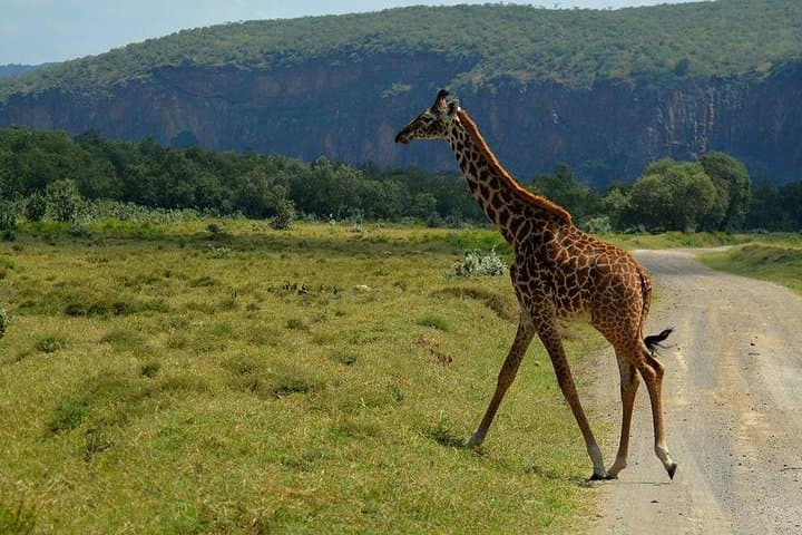 7 Days Exceptional Kenya and Tanzania Safari