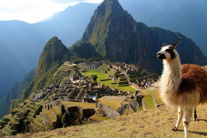Official Ticket- Machu Picchu Lost Citadel