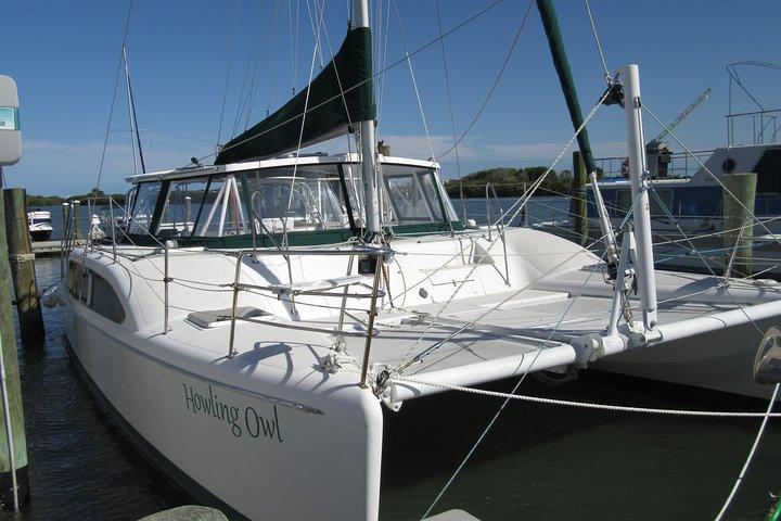 Catamaran Sailing Dolphin/Manatee Watch in Daytona Beach