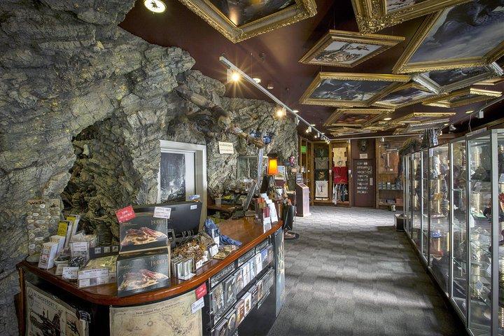 Wellington City to Coast Highlights Tour (with Lunch)