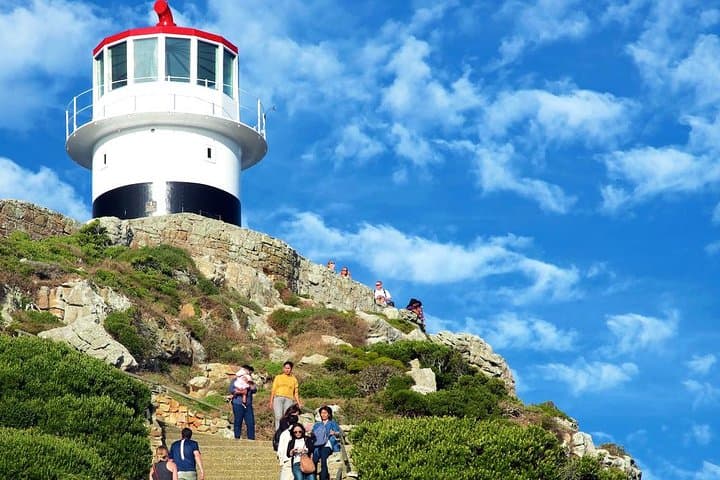 Cape Point Explore with Boulder's Penguins Full Day Tour
