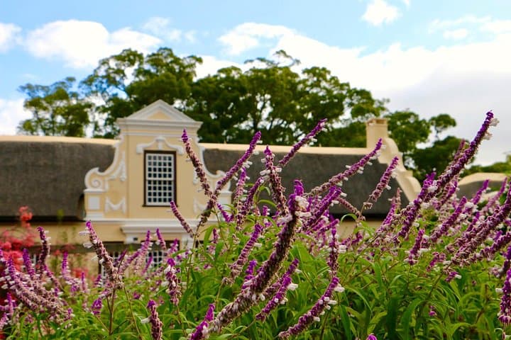 Helderberg Valley Winelands Day Tour with Private Transfer