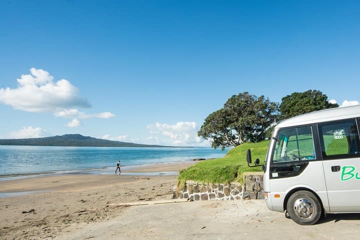 Auckland City Highlights, Afternoon Piha Beach & Rainforest Tour