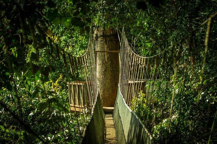 Kinabalu National Park Tour