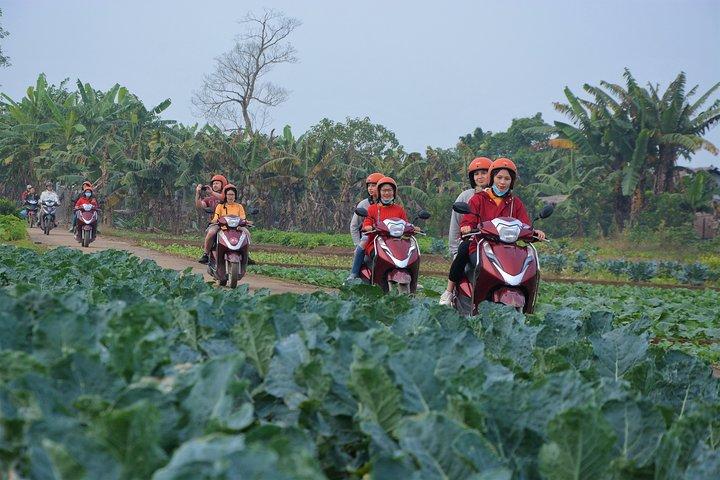 Hanoi Motorbike Tours Led By Women: Hanoi Outskirts & Rural Life