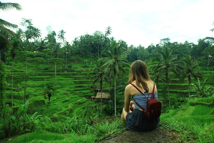 Ubud Rice Terrace Swing, Hidden Waterfall & Monkey Forest Tour
