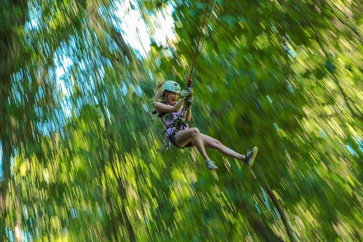Ziplining and UTV Desert Adventure from Los Cabos