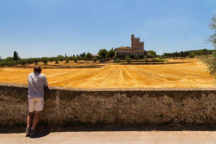 Private Chianti Tuscany Wine Tasting Tour from Florence