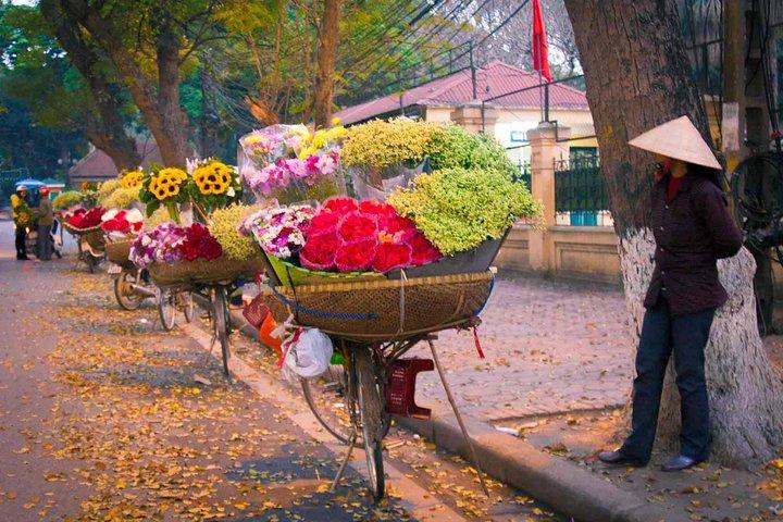 Hanoi - Hoa Lu Ancient & Tam Coc - Halong Bay package tour 6days 5nights