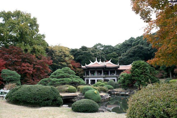 Free Choice of Itineraries Tokyo Private Tour