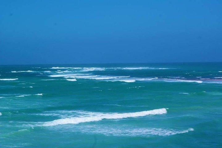 Cape Agulhas Southern most Tip of African Continent Full Day Tour