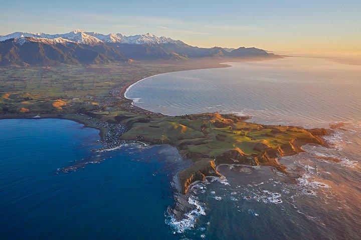 Whale Watching in Kaikoura - Ultimate Experience