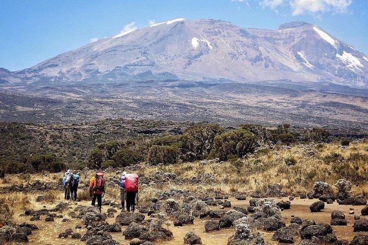 Mt.kilimanjaro Lemosho Route