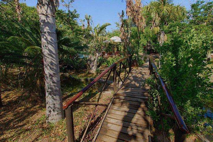 6 Day Classic Kruger National Park Safari from Johannesburg