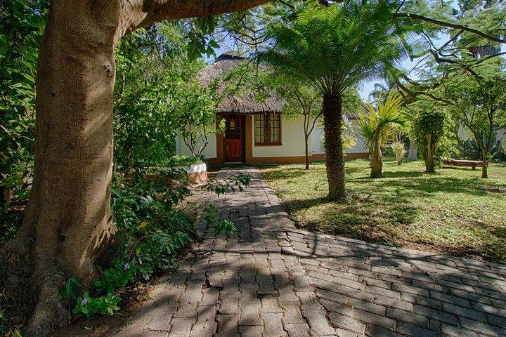 6 Day Classic Kruger National Park Safari from Johannesburg