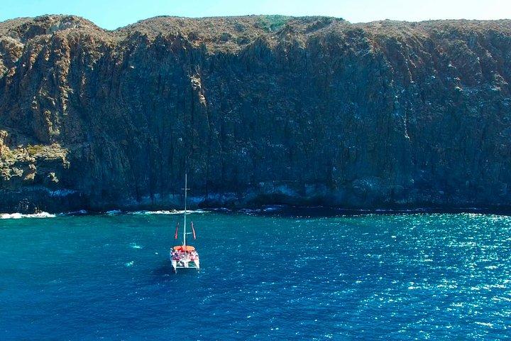 Whale Watching and Listening Eco Catamaran Tour with Food Tasting
