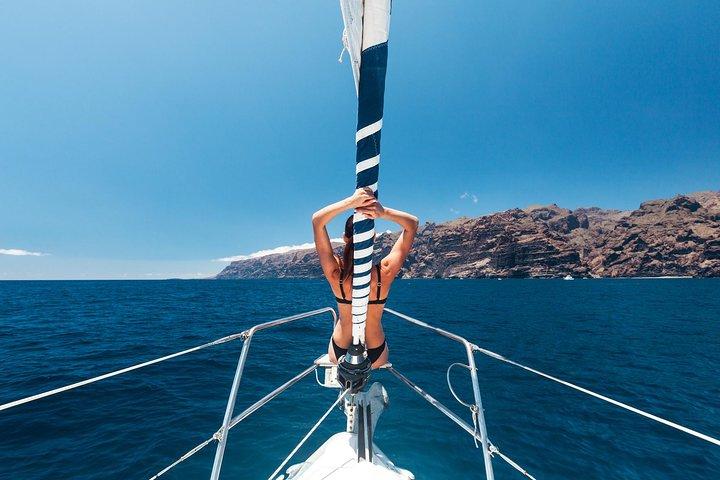 Whales and Dolphins Watching in Exclusive Sailboat