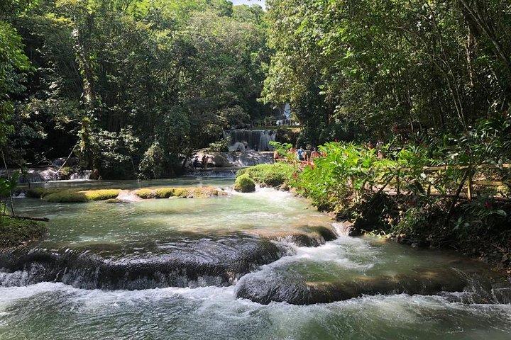 YS Falls, Black River Safari, and Floyd's Pelican Bar Day-Trip (Transportation)