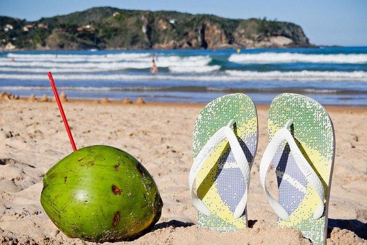 Rio de Janeiro Shore Excursion: Post-Cruise 4-hour Private Tour