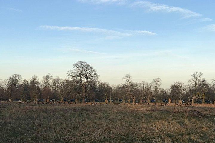 Hampton Court Palace Grounds Bike Tour