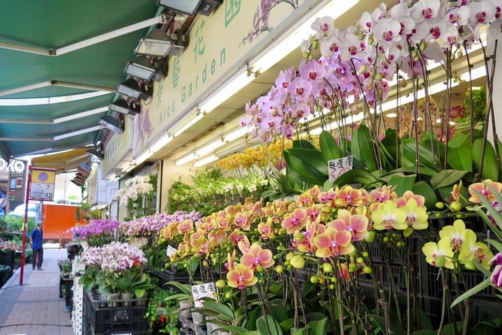 Private Walking Tour: Hong Kong Local Markets Hopper