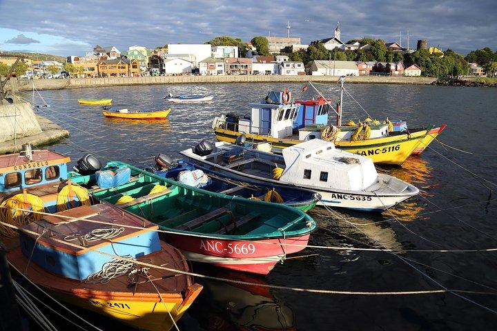 Puerto Varas; Full day, Chiloe island: Ancud, Caulin and Lacuy