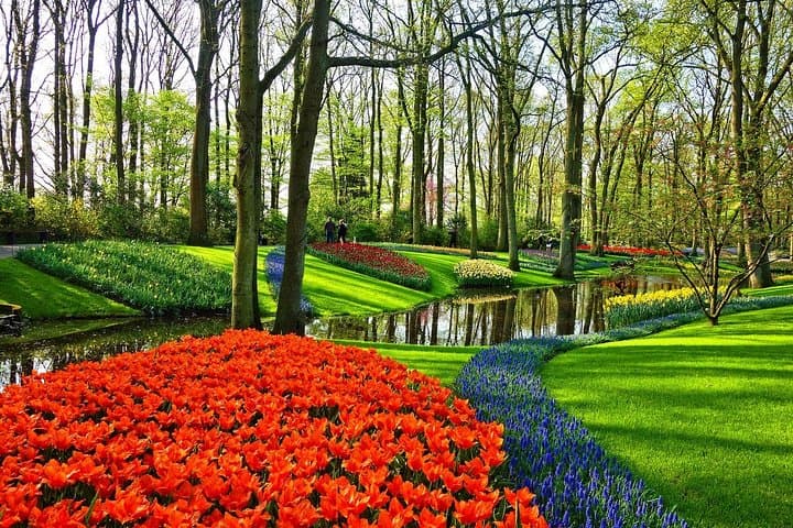 Roundtrip Transfer from Amsterdam to Keukenhof Gardens Tulip