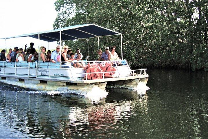 YS Falls and Black River Safari Guided Tour from Montego Bay and Grand Palladium