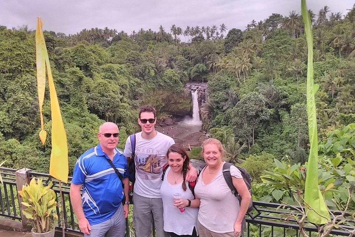 Monkey Forest, Ubud, Waterfall and Rice Terrace