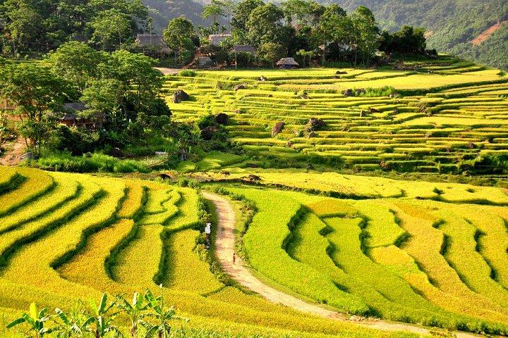 Trekking In Mai Chau - Pu Luong Nature Reserve Tour 3 Days