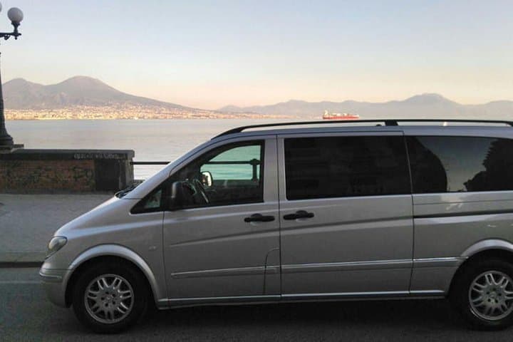 Private Half-Day Tour of Mt. Vesuvius
