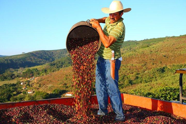 Original Historic Coffee Farm Guided Tour with Transfer
