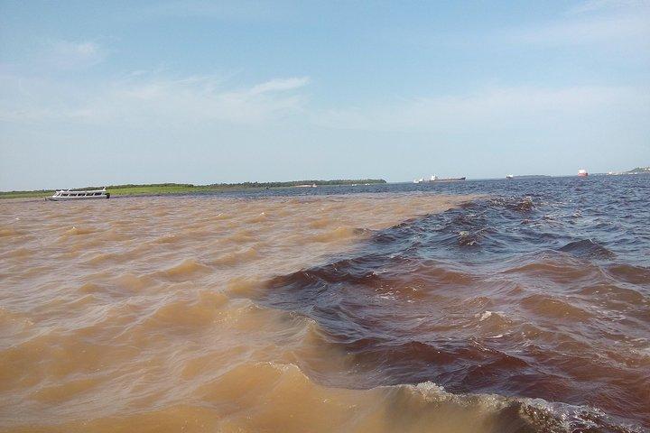 Taste of the Amazon Jungle 3D-2N-A Amazon Tapiri Floating Lodge