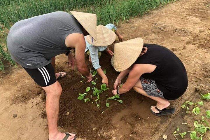 Experience Hoi an Countryside Village Tour by Jeep from Hoi An