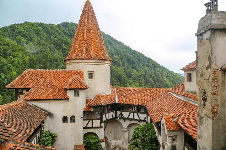 From Brasov: Bran, Rasnov & Peles Castles Small-Group Tour